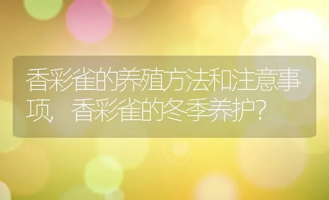 香彩雀的养殖方法和注意事项,香彩雀的冬季养护？ | 养殖常见问题