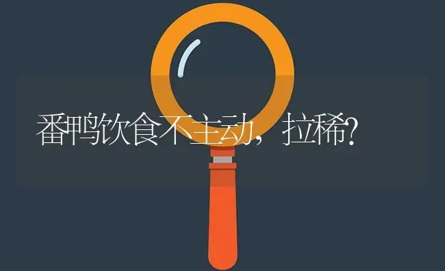 番鸭饮食不主动,拉稀? | 养殖问题解答