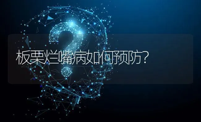 板栗烂嘴病如何预防? | 养殖问题解答