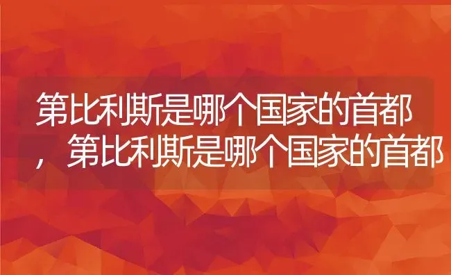 第比利斯是哪个国家的首都,第比利斯是哪个国家的首都 | 养殖常见问题