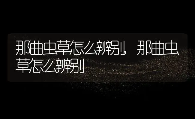 那曲虫草怎么辨别,那曲虫草怎么辨别 | 养殖常见问题