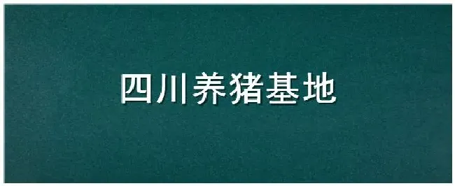 四川养猪基地 | 农业常识