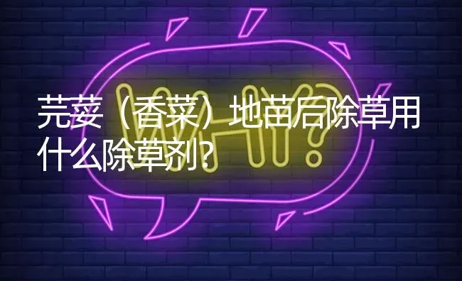 芫荽(香菜)地苗后除草用什么除草剂? | 养殖问题解答