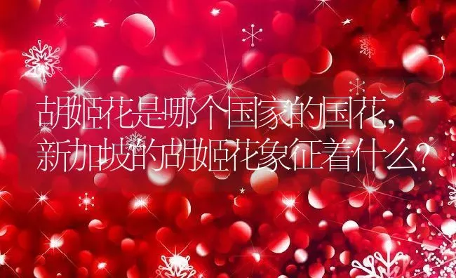 胡姬花是哪个国家的国花,新加坡的胡姬花象征着什么？ | 养殖常见问题