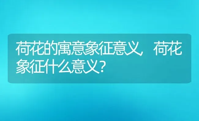 荷花的寓意象征意义,荷花象征什么意义？ | 养殖常见问题