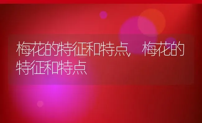 梅花的特征和特点,梅花的特征和特点 | 养殖常见问题