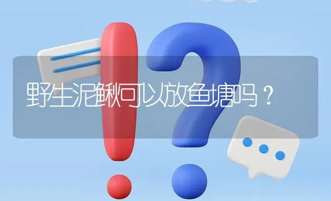 野生泥鳅可以放鱼塘吗? | 养殖问题解答