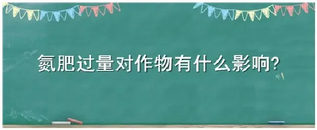 氮肥过量对作物有什么影响 | 农业答疑