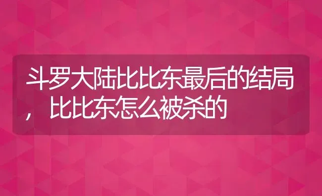 斗罗大陆比比东最后的结局,比比东怎么被杀的 | 养殖常见问题