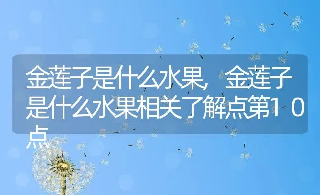 金莲子是什么水果,金莲子是什么水果相关了解点第10点 | 养殖常见问题