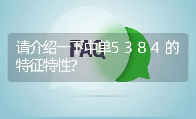 请介绍一下中单5384的特征特性? | 养殖问题解答