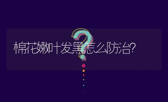 棉花嫩叶发黑怎么防治? | 养殖问题解答