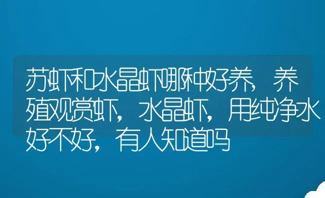 苏虾和水晶虾哪种好养,养殖观赏虾，水晶虾，用纯净水好不好，有人知道吗 | 养殖常见问题
