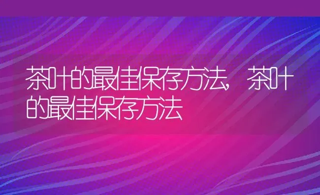 茶叶的最佳保存方法,茶叶的最佳保存方法 | 养殖常见问题