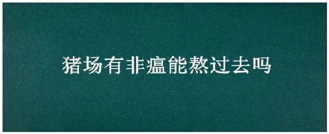 猪场有非瘟能熬过去吗 | 三农问答