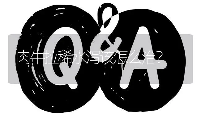 肉牛拉稀水泻该怎么治? | 养殖问题解答