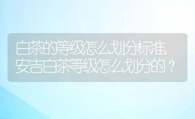 白茶的等级怎么划分标准,安吉白茶等级怎么划分的？ | 养殖常见问题