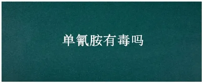 单氰胺有毒吗 | 三农答疑