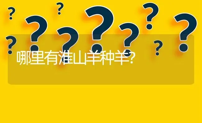 哪里有淮山羊种羊? | 养殖问题解答