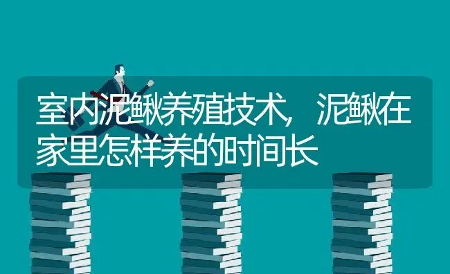 室内泥鳅养殖技术,泥鳅在家里怎样养的时间长 | 养殖常见问题