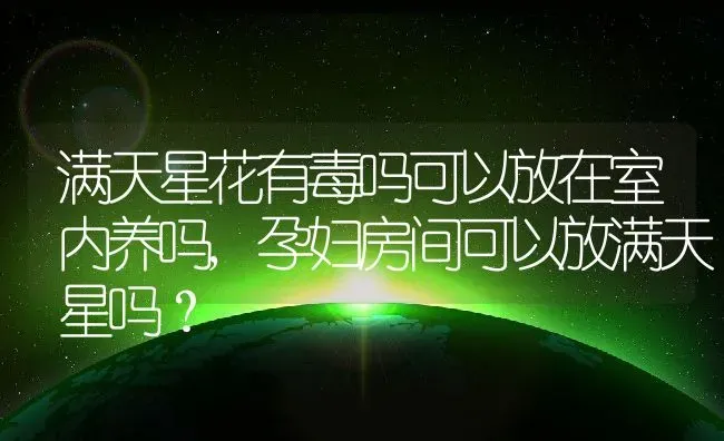 满天星花有毒吗可以放在室内养吗,孕妇房间可以放满天星吗？ | 养殖常见问题