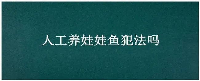 人工养娃娃鱼犯法吗 | 三农答疑