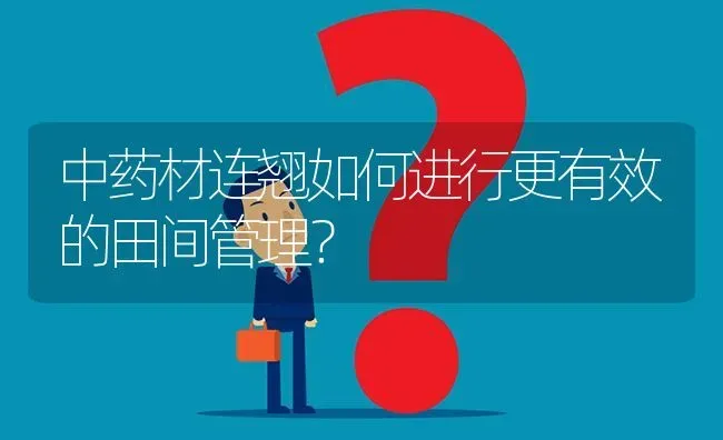 中药材连翘如何进行更有效的田间管理? | 养殖问题解答