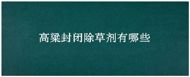 高粱封闭除草剂有哪些 | 农业常识