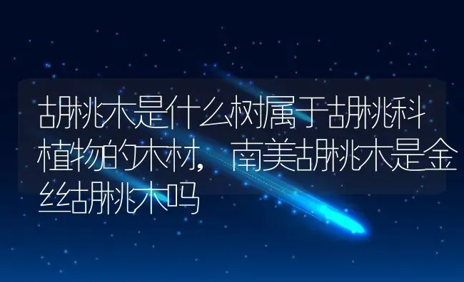 胡桃木是什么树属于胡桃科植物的木材,南美胡桃木是金丝胡桃木吗 | 养殖常见问题