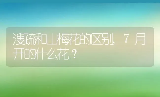 溲疏和山梅花的区别,7月开的什么花？ | 养殖常见问题