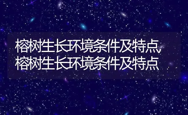 榕树生长环境条件及特点,榕树生长环境条件及特点 | 养殖常见问题
