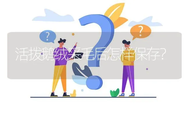 活拨鹅绒采毛后怎样保存? | 养殖问题解答
