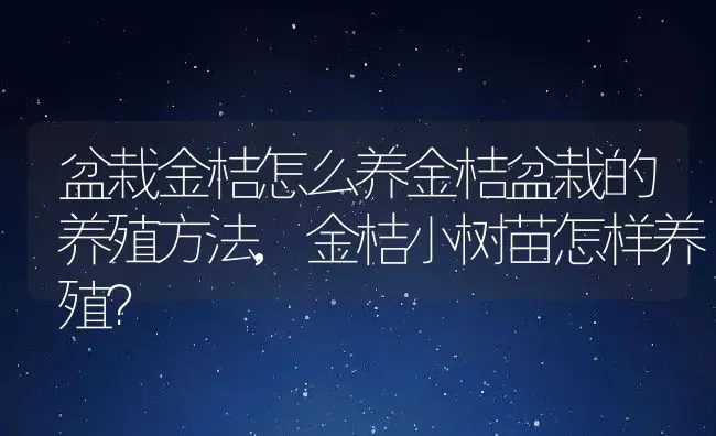 盆栽金桔怎么养金桔盆栽的养殖方法,金桔小树苗怎样养殖？ | 养殖常见问题