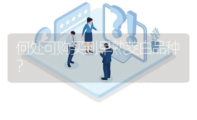 何处可购买到早熟茭白品种? | 养殖问题解答