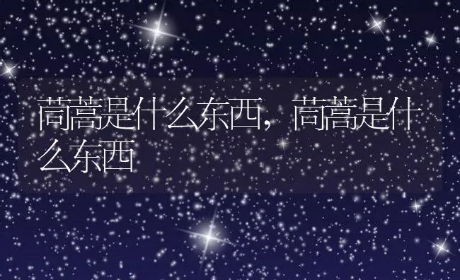 茼蒿是什么东西,茼蒿是什么东西 | 养殖常见问题