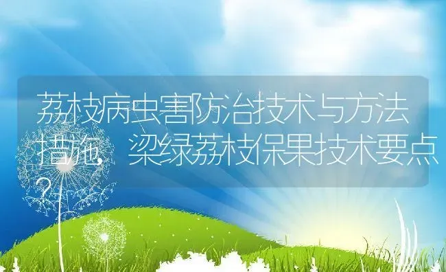 荔枝病虫害防治技术与方法措施,梁绿荔枝保果技术要点？ | 养殖常见问题