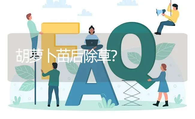 胡萝卜苗后除草? | 养殖问题解答