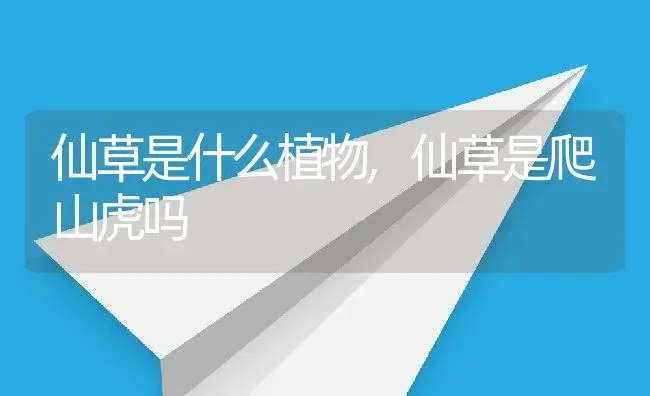 仙草是什么植物,仙草是爬山虎吗 | 养殖常见问题