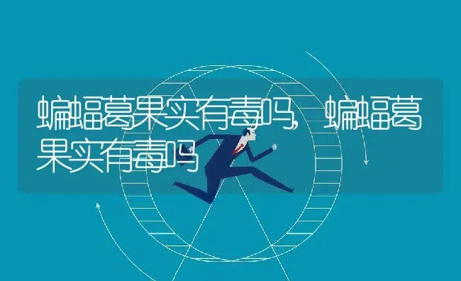 福禄桐的养护方法,福禄桐的养护方法 | 养殖常见问题