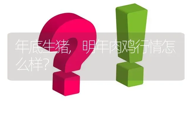 年底生猪,明年肉鸡行情怎么样? | 养殖问题解答