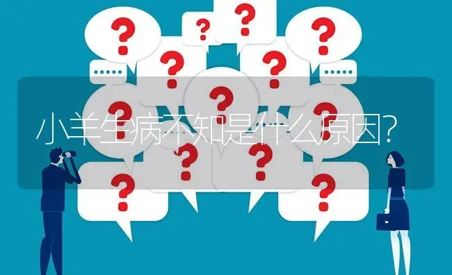 小羊生病不知是什么原因? | 养殖问题解答