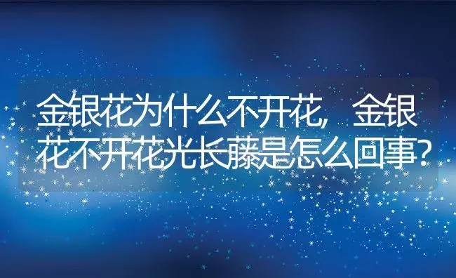 金银花为什么不开花,金银花不开花光长藤是怎么回事？ | 养殖常见问题