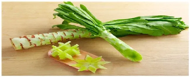 莴笋怎么种植方法如下 | 三农问答