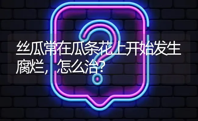 丝瓜常在瓜条花上开始发生腐烂,怎么治? | 养殖问题解答
