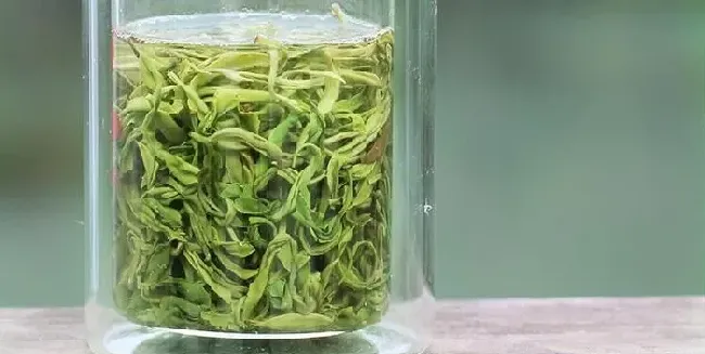 植物常识问题|碧螺春绿茶的功效与作用