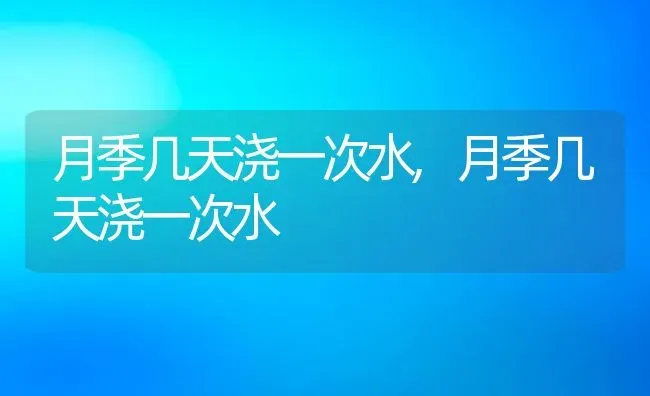 月季几天浇一次水,月季几天浇一次水 | 养殖常见问题