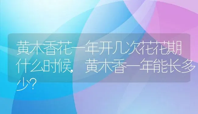 黄木香花一年开几次花花期什么时候,黄木香一年能长多少？ | 养殖常见问题