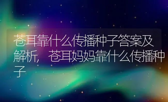 平安竹适合在室内养吗,平安竹适合在室内养吗 | 养殖常见问题