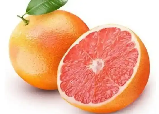 植物常识问题|西柚和柚子的区别