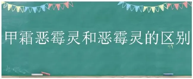 甲霜恶霉灵和恶霉灵的区别 | 科普知识